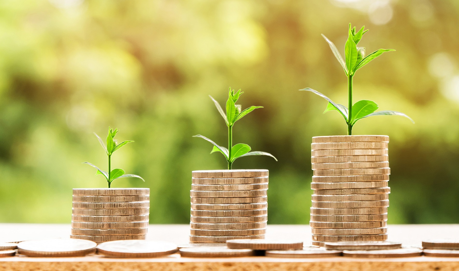 ERA a.s. - ERA Company has reached one billion crowns in 2017 revenue ...